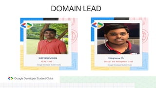 DOMAIN LEAD
 