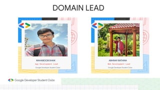 DOMAIN LEAD
 