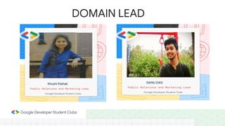 DOMAIN LEAD
 