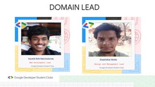 DOMAIN LEAD
 