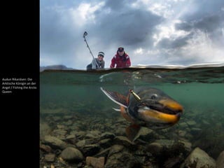 Audun Rikardsen: Die 
Arktische Königin an der 
Angel / Fishing the Arctic 
Queen 
 