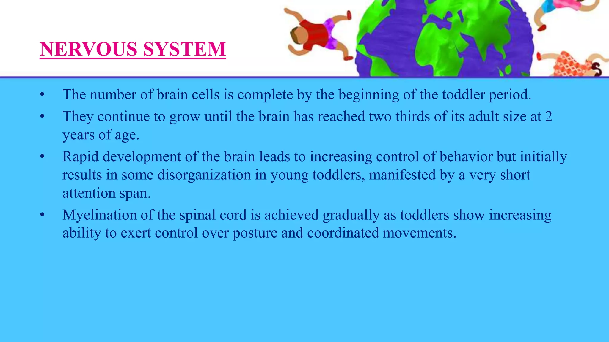 NERVOUS SYSTEM
• The number of brain cells is complete by the beginning of the toddler period.
• They continue to grow until the brain has reached two thirds of its adult size at 2
years of age.
• Rapid development of the brain leads to increasing control of behavior but initially
results in some disorganization in young toddlers, manifested by a very short
attention span.
• Myelination of the spinal cord is achieved gradually as toddlers show increasing
ability to exert control over posture and coordinated movements.
 