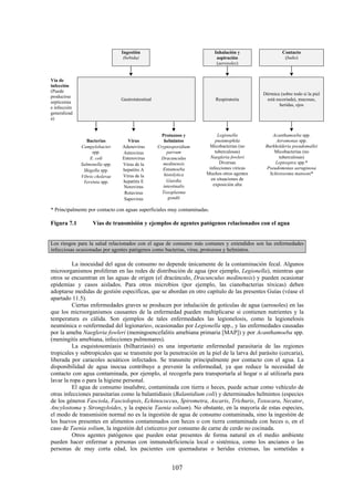107
Ingestión
(bebida)
Inhalación y
aspiración
(aerosoles)
Contacto
(baño)
Vía de
infección
(Puede
producirse
septicemia
e infección
generalizad
a)
Gastrointestinal Respiratoria
Dérmica (sobre todo si la piel
está escoriada), mucosas,
heridas, ojos
Bacterias Virus
Protozoos y
helmintos
Legionella
pneumophila
Micobacterias (no
tuberculosas)
Naegleria fowleri
Diversas
infecciones víricas
Muchos otros agentes
en situaciones de
exposición alta
Acanthamoeba spp.
Aeromonas spp.
Burkholderia pseudomallei
Micobacterias (no
tuberculosas)
Leptospira spp.*
Pseudomonas aeruginosa
Schistosoma mansoni*
Campylobacter
spp.
E. coli
Salmonella spp.
Shigella spp.
Vibrio cholerae
Yersinia spp.
Adenovirus
Astrovirus
Enterovirus
Virus de la
hepatitis A
Virus de la
hepatitis E
Norovirus
Rotavirus
Sapovirus
Cryptosporidium
parvum
Dracunculus
medinensis
Entamoeba
histolytica
Giardia
intestinalis
Toxoplasma
gondii
* Principalmente por contacto con aguas superficiales muy contaminadas.
Figura 7.1 Vías de transmisión y ejemplos de agentes patógenos relacionados con el agua
Los riesgos para la salud relacionados con el agua de consumo más comunes y extendidos son las enfermedades
infecciosas ocasionadas por agentes patógenos como bacterias, virus, protozoos y helmintos.
La inocuidad del agua de consumo no depende únicamente de la contaminación fecal. Algunos
microorganismos proliferan en las redes de distribución de agua (por ejemplo, Legionella), mientras que
otros se encuentran en las aguas de origen (el dracúnculo, Dracunculus medinensis) y pueden ocasionar
epidemias y casos aislados. Para otros microbios (por ejemplo, las cianobacterias tóxicas) deben
adoptarse medidas de gestión específicas, que se abordan en otro capítulo de las presentes Guías (véase el
apartado 11.5).
Ciertas enfermedades graves se producen por inhalación de gotículas de agua (aerosoles) en las
que los microorganismos causantes de la enfermedad pueden multiplicarse si contienen nutrientes y la
temperatura es cálida. Son ejemplos de tales enfermedades las legionelosis, como la legionelosis
neumónica o «enfermedad del legionario», ocasionadas por Legionella spp., y las enfermedades causadas
por la ameba Naegleria fowleri (meningoencefalitis amebiana primaria [MAP]) y por Acanthamoeba spp.
(meningitis amebiana, infecciones pulmonares).
La esquistosomiasis (bilharziasis) es una importante enfermedad parasitaria de las regiones
tropicales y subtropicales que se transmite por la penetración en la piel de la larva del parásito (cercaria),
liberada por caracoles acuáticos infectados. Se transmite principalmente por contacto con el agua. La
disponibilidad de agua inocua contribuye a prevenir la enfermedad, ya que reduce la necesidad de
contacto con agua contaminada, por ejemplo, al recogerla para transportarla al hogar o al utilizarla para
lavar la ropa o para la higiene personal.
El agua de consumo insalubre, contaminada con tierra o heces, puede actuar como vehículo de
otras infecciones parasitarias como la balantidiasis (Balantidium coli) y determinados helmintos (especies
de los géneros Fasciola, Fasciolopsis, Echinococcus, Spirometra, Ascaris, Trichuris, Toxocara, Necator,
Ancylostoma y Strongyloides, y la especie Taenia solium). No obstante, en la mayoría de estas especies,
el modo de transmisión normal no es la ingestión de agua de consumo contaminada, sino la ingestión de
los huevos presentes en alimentos contaminados con heces o con tierra contaminada con heces o, en el
caso de Taenia solium, la ingestión del cisticerco por consumo de carne de cerdo no cocinada.
Otros agentes patógenos que pueden estar presentes de forma natural en el medio ambiente
pueden hacer enfermar a personas con inmunodeficiencia local o sistémica, como los ancianos o las
personas de muy corta edad, los pacientes con quemaduras o heridas extensas, las sometidas a
 