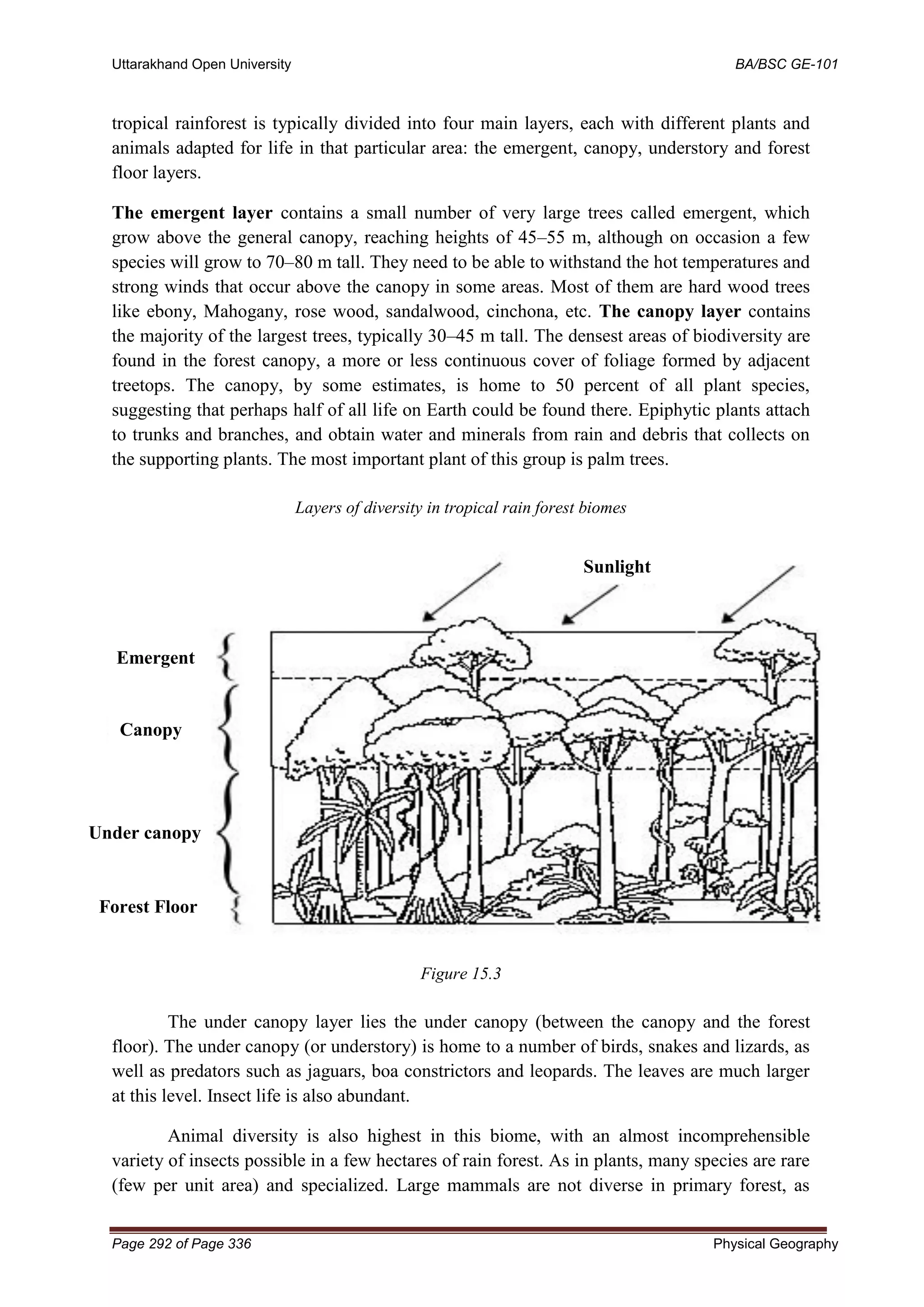Uttarakhand Open University BA/BSC GE-101
Page 292 of Page 336 Physical Geography
tropical rainforest is typically divided into four main layers, each with different plants and
animals adapted for life in that particular area: the emergent, canopy, understory and forest
floor layers.
The emergent layer contains a small number of very large trees called emergent, which
grow above the general canopy, reaching heights of 45–55 m, although on occasion a few
species will grow to 70–80 m tall. They need to be able to withstand the hot temperatures and
strong winds that occur above the canopy in some areas. Most of them are hard wood trees
like ebony, Mahogany, rose wood, sandalwood, cinchona, etc. The canopy layer contains
the majority of the largest trees, typically 30–45 m tall. The densest areas of biodiversity are
found in the forest canopy, a more or less continuous cover of foliage formed by adjacent
treetops. The canopy, by some estimates, is home to 50 percent of all plant species,
suggesting that perhaps half of all life on Earth could be found there. Epiphytic plants attach
to trunks and branches, and obtain water and minerals from rain and debris that collects on
the supporting plants. The most important plant of this group is palm trees.
Layers of diversity in tropical rain forest biomes
Figure 15.3
The under canopy layer lies the under canopy (between the canopy and the forest
floor). The under canopy (or understory) is home to a number of birds, snakes and lizards, as
well as predators such as jaguars, boa constrictors and leopards. The leaves are much larger
at this level. Insect life is also abundant.
Animal diversity is also highest in this biome, with an almost incomprehensible
variety of insects possible in a few hectares of rain forest. As in plants, many species are rare
(few per unit area) and specialized. Large mammals are not diverse in primary forest, as
Sunlight
Emergent
Canopy
Under canopy
Forest Floor
 