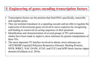 • Transcription factors are the proteins that bind DNA specifically, transcribe
and regulate genes.
• They are terminal transducer in a signaling cascade and are able to regulate the
expression of downstream genes involved in stress responses by recognizing
and binding to conserved cis-acting sequences in their promoter
• Identification and characterization of several groups of TFs and numerous
studies have been made to improve stress tolerance by genetic manipulation of
these TFs.
• The most important TF families involved in abiotic stress tolerance are
AP2/EREBP (Apetala2/Ethylene-Responsive Element- Binding Protein),
MYB, WRKY, NAC (NAM, ATAF, and CUC) and bZIP (basic leucine zipper
domain) (Golldack et al. 2014).
5. Engineering of genes encoding transcription factors
 