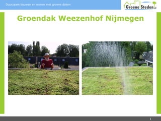 Groendak Weezenhof Nijmegen 