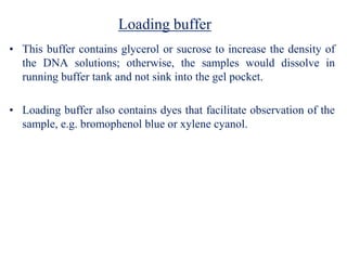 Loading buffer
• This buffer contains glycerol or sucrose to increase the density of
the DNA solutions; otherwise, the samples would dissolve in
running buffer tank and not sink into the gel pocket.
• Loading buffer also contains dyes that facilitate observation of the
sample, e.g. bromophenol blue or xylene cyanol.
 