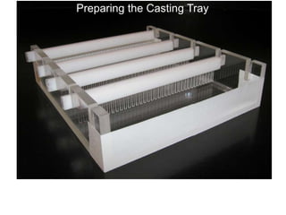 Seal the edges of the casting tray and put in the combs. Place the casting
tray on a level surface. None of the gel combs should be touching the
surface of the casting tray.
Preparing the Casting Tray
 