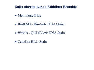 Safer alternatives to Ethidium Bromide
 Methylene Blue
 BioRAD - Bio-Safe DNA Stain
 Ward’s - QUIKView DNA Stain
 Carolina BLU Stain
 