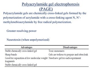 Polyacrylamide gel electrophoresis
(PAGE)
Polyacrylamide gels are chemically cross-linked gels formed by the
polymerization of acrylamide with a cross-linking agent N, N’-
methylenebisacrylamide by free radical polymerization.
Greater resolving power
Neurotoxin (when unpolymerized)
 