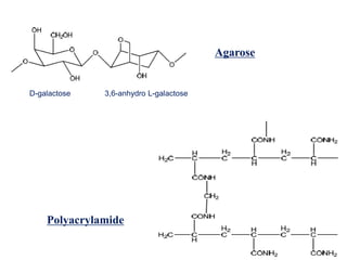 Agarose
D-galactose 3,6-anhydro L-galactose
Polyacrylamide
 