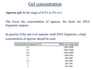 Gel concentration
Agarose gel: In the range of 0.2% to 3% w/v.
The lower the concentration of agarose, the faster the DNA
fragments migrate.
In general, if the aim is to separate small DNA fragments, a high
concentration of agarose should be used.
 
