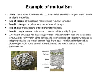 Example of mutualism
• Lichen: the body of lichen is made up of a matrix formed by a fungus, within which
an alga is embedded.
• Role of fungus: absorption of moisture and minerals for algae
• Benefit to fungus: acquires food manufactured by alga
• Role of alga: Manufacture of food by photosynthesis
• Benefit to alga: acquire moisture and minerals absorbed by fungus
• When neither fungus nor alga can grow alone independently, then the interaction
is mutualism. However in some lichens, the interaction is not obligatory, the alga is
independent and the fungus acquire food from alga. Then it can be denoted as
protocooperation. Some authors have explained the interaction as a type of
parasitism too.
 