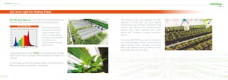 Grow Elite
LED Grow Light For Medical Plants
Our LED grow lights use a plant PAR (Photo-synthetically Active
Radiation) spectrum built for cannabis and hemp growers.
Did you know that too much G
Green in the spectrum can damage
THC? Or that not all cultivars react the same to Far Red or UV
lighting?
At Grow Elite, we build LED lighting systems for growing plants.
With no surprises, no gimmicks - just science.
The powerful output and balanced full PAR
spectrum of Grow Elite LED grow lighting
systems mean you can keep your plants in one
room for their lifecycle. This sensible solution
reduces labor costs, improves your crop's
health, and ultimately increase production
results.
From 22 to 2200 PPFD, we have the solution to
your growing needs. Contact the horticulture
experts at Grow Elite now ﬁnd to out more
about light spectrum and its effects on your
medicinal plants and your ROI.
Grow Elite's balanced
full-spectrum LED light
recipe considers that
there are many different
cultivars and phenotypes.
All of which have
slightly different lighting
requirements.
40 41
Medical Series
 