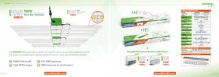 Grow Elite
300W
600W
or
450W
Nine Bar Modular
Grow Light
120 - 480V
or
42 43
300W
300W
or or
4
4
43
3
3
600W
+
+
+
600W
The EG90W9 LED grow light is perfect for high DLI plants grown with supplemental CO2
.
The 6-plus-3 conﬁguration is ideally suited for the one room, veg-to-harvest method.
+
Modular Grow Light System
900W Dim-to-off
High PPFD output
Full PAR spectrum
PAR balanced for horticulture
900W
Nine Bar Modular
120 - 480V
w Elite
450W
Nine Bar Modular
Grow Light
120 - 480V
Modular Grow Light System
900W
Nine Bar Modular
120 - 480V
3 x
Light Bar
100W
( )
Dimmable Horticulture LED Power Supply Drivers
 