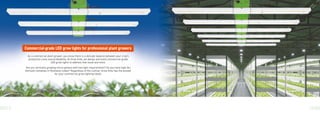 Grow Elite
12 13
As a commercial plant grower, you know there is a delicate balance between your crop’s
production costs and proﬁtability. At Grow Elite, we design and build commercial-grade
LED grow lights to address that issue and more.
Are you vertically growing micro-greens with low light requirements? Do you have high DLI
heirloom tomatoes in Rockwool cubes? Regardless of the cultivar, Grow Elite has the answer
for your commercial grow lighting needs.
Commercial-grade LED grow lights for professional plant growers
 