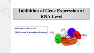 Inhibition of Gene Expression at
RNA Level
Presenter: Ahmed Madni
MS Research Scholar (Biotechnology)
 