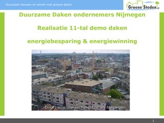 Duurzame Daken ondernemers Nijmegen Realisatie 11-tal demo daken energiebesparing & energiewinning 