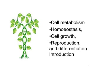 •Cell metabolism 
•Homoeostasis, 
•Cell growth, 
•Reproduction, 
and differentiation 
Introduction 
1 
 