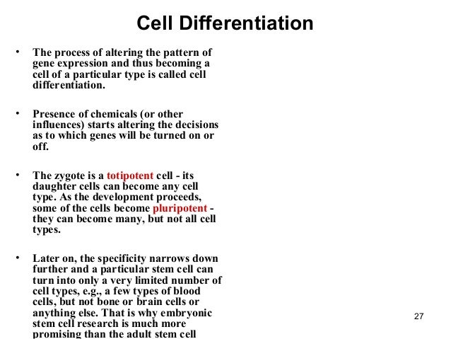 cell specialization definition