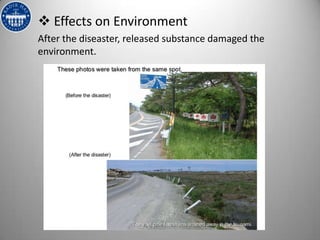  Effects on Environment
After the diseaster, released substance damaged the
environment.
 