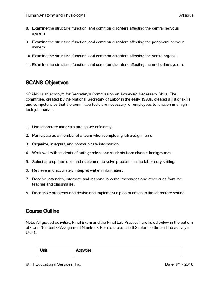 outline paper research writing reflection