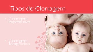 Tipos de Clonagem 
• Clonagem 
Reprodutiva 
• Clonagem 
Terapêutica 
 