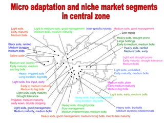 Light soils          Light to medium soils, good management Inter-specific hybrids Medium soils, good management
  Early maturity       medium bolls, medium maturity                                      Low inputs
  Medium bolls
                                                                                        Heavy soils, drought prone
                                                                                        Large holdings
Black soils, rainfed                                                                    Early to medium, medium bolls
Medium duration                                                                               Heavy soils, rainfed
medium bolls                                                                                  Medium bolls, early
 Saline soils
                                                                                             Light soil, drought prone
                                                                                             Early maturity, drought tolerance
 Medium soil, rainfed                                                                        Medium bolls
 Early maturity, medium
 and big bolls                                                                        Light soils, undulated
         Heavy, irrigated soils                                                       Early maturity, medium bolls
         Long duration, big bolls
   Light soils, low input, early                                                 Medium soils, plain
           Early to medium maturity                                              Early-medium maturity
           Medium to big bolls                                                   Medium-big bolls
       Light soils, early maturity
                                                                                Light soils, early, medium bolls
       Drought tolerance
                                                      Heavy soils, high management
  Irrigated, medium maturity,                         Long duration, big bolls
  early sown, double cropping
                                            Heavy soils, drought prone
    Light soils, good management            Poor management                             Heavy soils, big bolls
    Medium maturity, medium bolls           Medium indeterminate, medium bolls          Medium duration indeterminate
                            Heavy soils, good management, medium to big bolls, med to late maturity
 