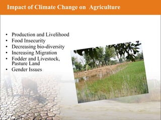 India a case study in Eastern Uttar Pradesh | PPT
