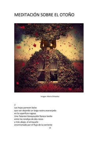 16
MEDITACIÓN SOBRE EL OTOÑO
Imagen: Marta Orlowska
1
Las hojas parecen balas
que van dejando un largo rastro anaranjado
en la superficie rugosa.
Una Tatarian honeysuckle florece tardía
entre las rendijas de dos rocas
y más abajo, el arroyuelo
ensimismado por el flujo de la corriente
 