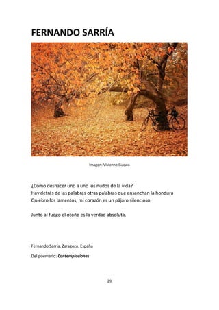 29
FERNANDO SARRÍA
Imagen: Vivienne Gucwa
¿Cómo deshacer uno a uno los nudos de la vida?
Hay detrás de las palabras otras palabras que ensanchan la hondura
Quiebro los lamentos, mi corazón es un pájaro silencioso
Junto al fuego el otoño es la verdad absoluta.
Fernando Sarría. Zaragoza. España
Del poemario: Contemplaciones
 