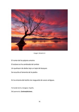 30
Imagen: Zeinab m.k
El rumor de los pájaros amaina
El océano se ha sembrado de lumbre
Un quehacer de dedos teje un tapiz de bosques
Se escucha el lamento de la piedra
En la armonía del otoño me resguardo de voces antiguas.
Fernando Sarría. Zaragoza. España.
Del poemario: Contemplaciones.
 