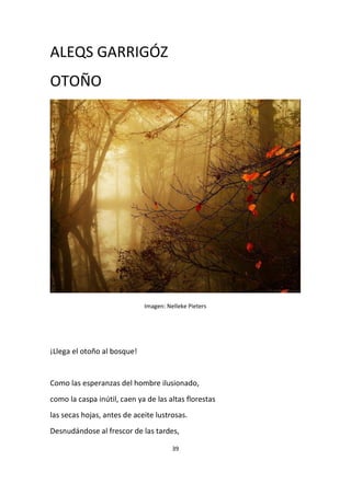 39
ALEQS GARRIGÓZ
OTOÑO
Imagen: Nelleke Pieters
¡Llega el otoño al bosque!
Como las esperanzas del hombre ilusionado,
como la caspa inútil, caen ya de las altas florestas
las secas hojas, antes de aceite lustrosas.
Desnudándose al frescor de las tardes,
 