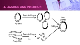 3. LIGATION AND INSERTION
 