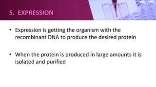 • Expression is getting the organism with the
recombinant DNA to produce the desired protein
• When the protein is produced in large amounts it is
isolated and purified
5. EXPRESSION
 
