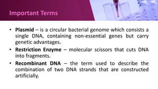 Important Terms
• Plasmid – is a circular bacterial genome which consists a
single DNA, containing non-essential genes but carry
genetic advantages.
• Restriction Enzyme – molecular scissors that cuts DNA
into fragments.
• Recombinant DNA – the term used to describe the
combination of two DNA strands that are constructed
artificially.
 