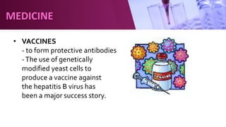 • VACCINES
- to form protective antibodies
-The use of genetically
modified yeast cells to
produce a vaccine against
the hepatitis B virus has
been a major success story.
MEDICINE
 