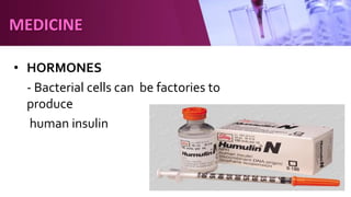 • HORMONES
- Bacterial cells can be factories to
produce
human insulin
MEDICINE
 