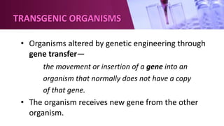 TRANSGENIC ORGANISMS
• Organisms altered by genetic engineering through
gene transfer—
the movement or insertion of a gene into an
organism that normally does not have a copy
of that gene.
• The organism receives new gene from the other
organism.
 