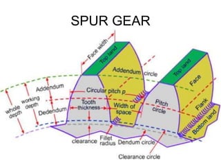 SPUR GEAR
 