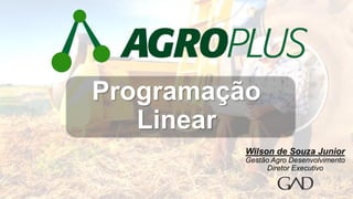 Wilson de Souza Junior
Gestão Agro Desenvolvimento
Diretor Executivo
Programação
Linear
 