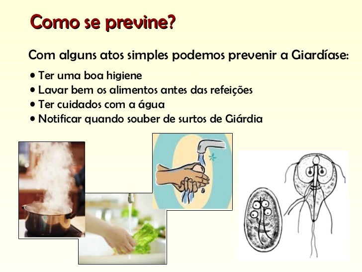 Como Você Acha Que é Possível Prevenir A Giardíase