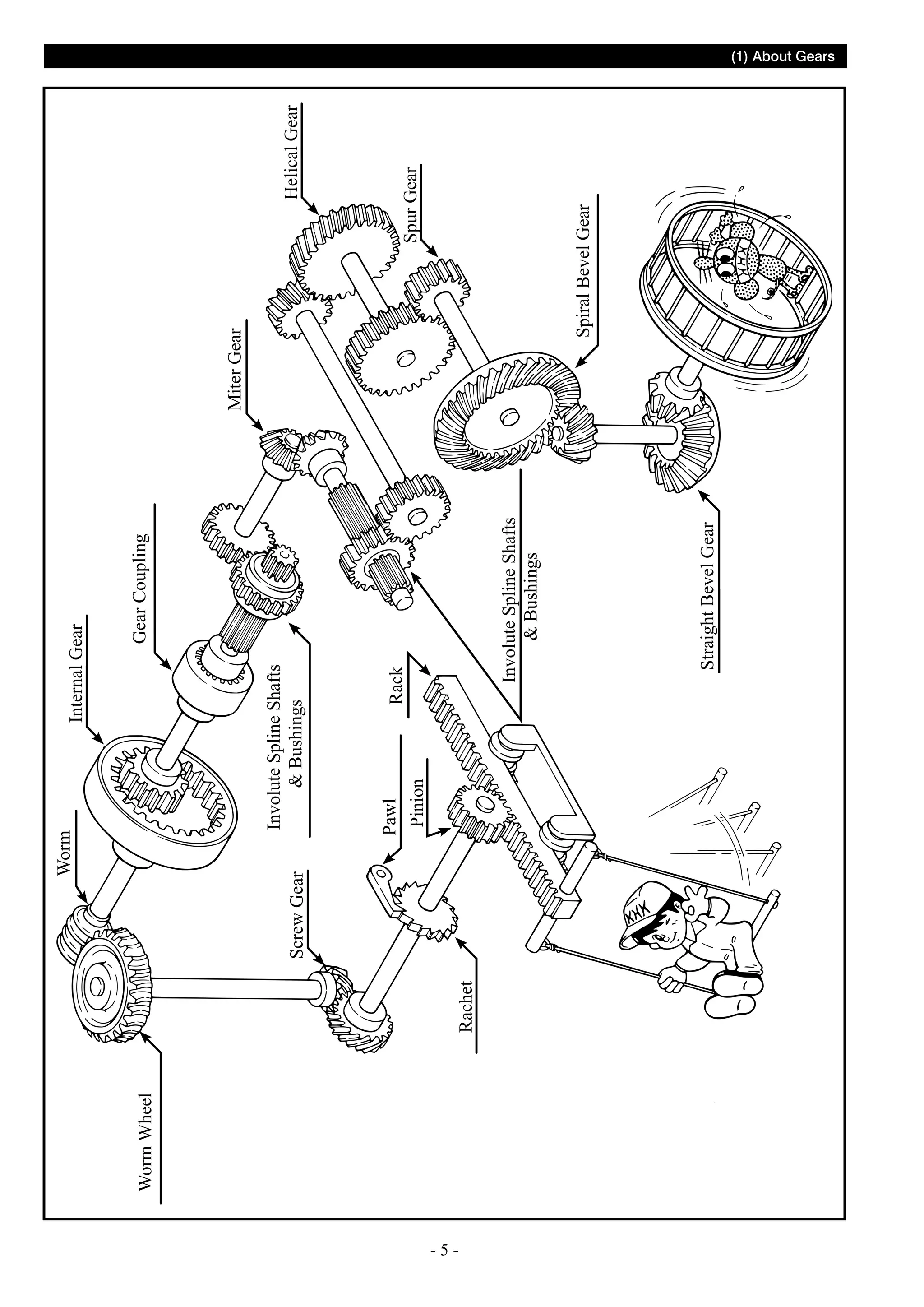 Worm Wheel

Rachet

Screw Gear

--

Straight Bevel Gear

Involute Spline Shafts
 Bushings

Rack

Gear Coupling

Internal Gear

Involute Spline Shafts
 Bushings

Pawl
Pinion

Worm

Helical Gear

Spur Gear

Spiral Bevel Gear

Miter Gear

(1) About Gears

 