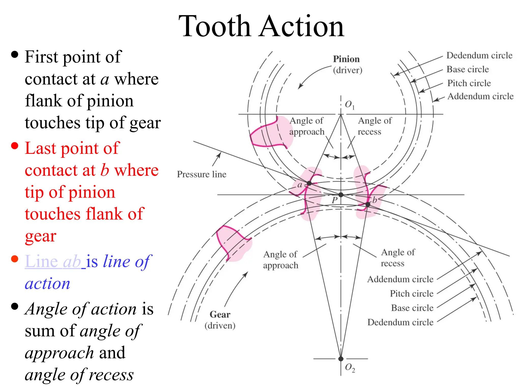 Tooth Action
 First point of
contact at a where
flank of pinion
touches tip of gear
 Last point of
contact at b where
tip of pinion
touches flank of
gear
 Line ab is line of
action
 Angle of action is
sum of angle of
approach and
angle of recess
 