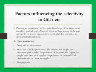 Factors influencing the selectivity
to Gill nets
 Planning an experiment involves prior knowledge of the factors that
can affect gear selectivity. Some of them, as those related to the gear,
are easy to control, in opposition to those related to the fish or to
environmental conditions.
A. Gear parameters
a. Gang and net dimensions
b. Mesh size (Use the given one) - The smallest fish caught has a
maximum girth equal to the perimeter of the mesh, the largest fish
caught has a head girth equal to the perimeter of the mesh. Fish
between these two sizes are caught.
c. Hanging ratio
 