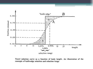Selection Gear Method Gear selectivity, sampling of commercial catches | PPTX