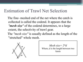 Gear selectivity, sampling of commercial catches | PPTX
