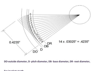 DO-outside diameter, D- pitch diameter, DB- base diameter, DR- root diameter,
 