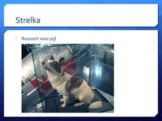 Strelka
 Russisch voor pijl
 