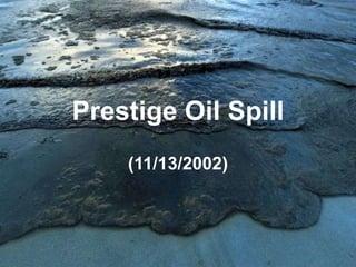 Prestige Oil Spill
(11/13/2002)

 
